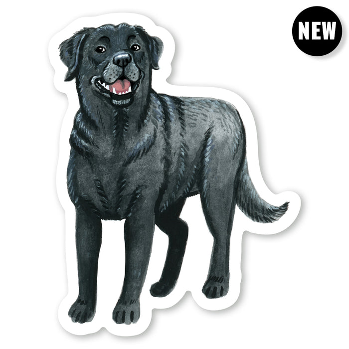 Black Labrador Sticker