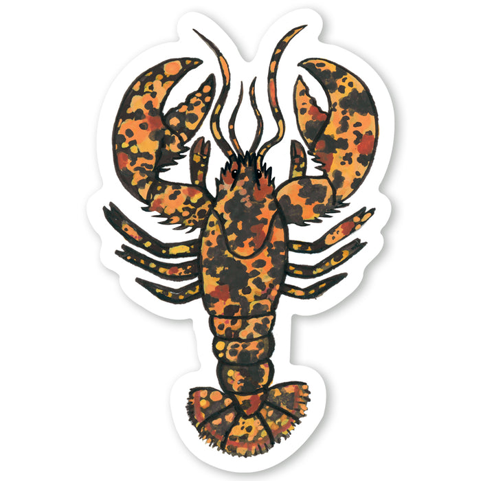 Calico Lobster Sticker