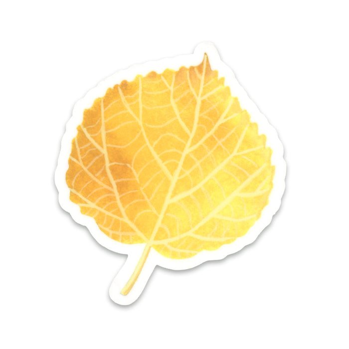 Aspen Leaf Sticker