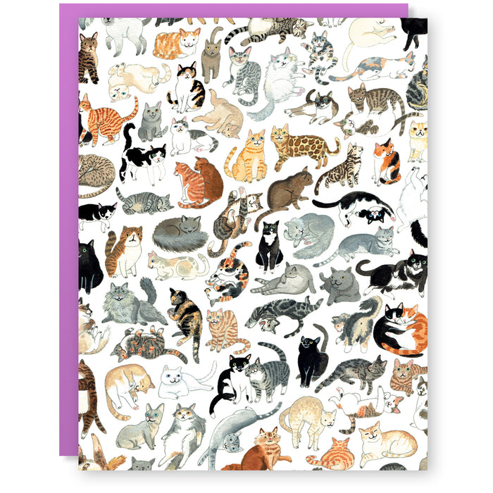 Cat Clutter Card