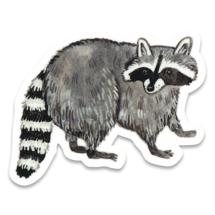 Raccoon Stickers 