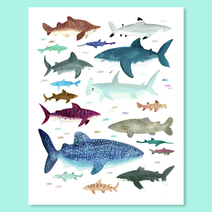 Shark Shiver Print
