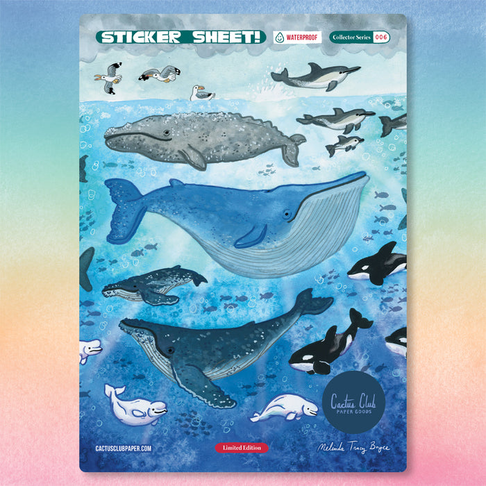 Whale Sticker Sheet